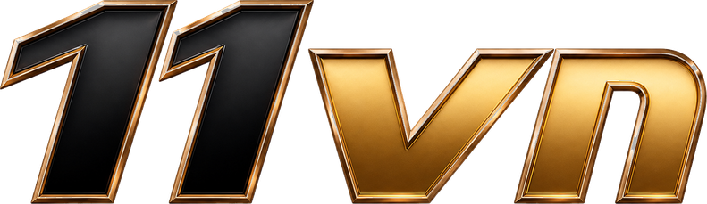 11vn